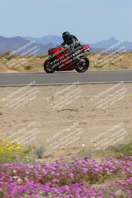 media/Mar-12-2023-SoCal Trackdays (Sun) [[d4c8249724]]/Turn 15 Inside Bloom (130pm)/
